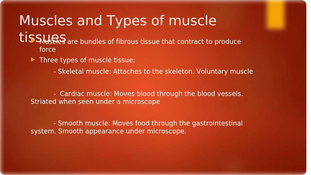 The muscular system.pptx_di1spspnd30_page2