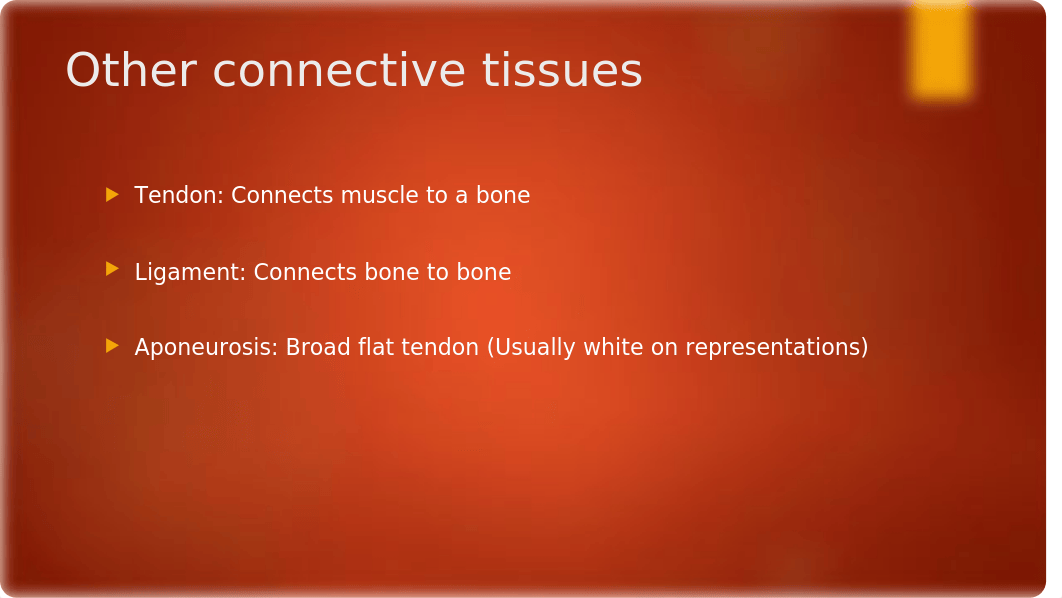 The muscular system.pptx_di1spspnd30_page4