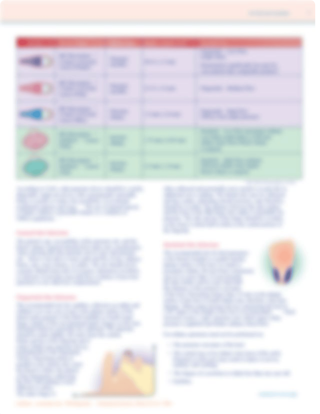 Capillary Blood Collection_Best Practices_BD.pdf_di1tr3hddrl_page3