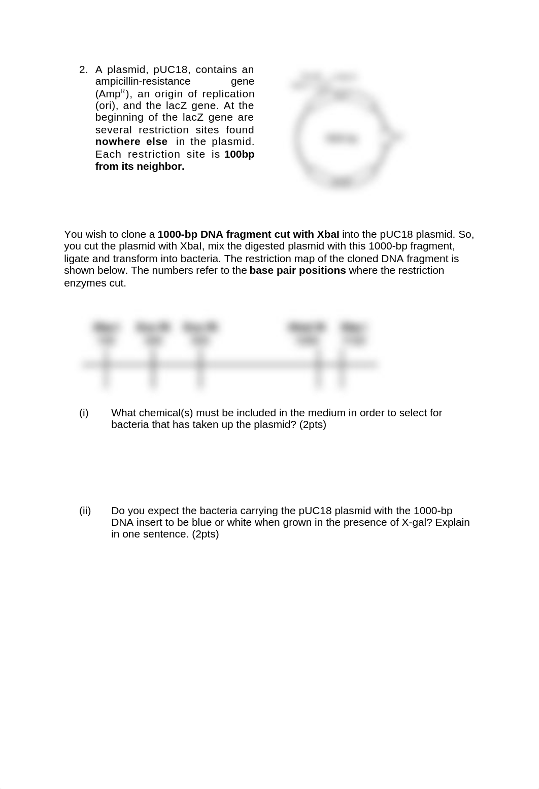 Activity 7 - DNA and RNA molecular technologies.docx_di1xm7v20aw_page3