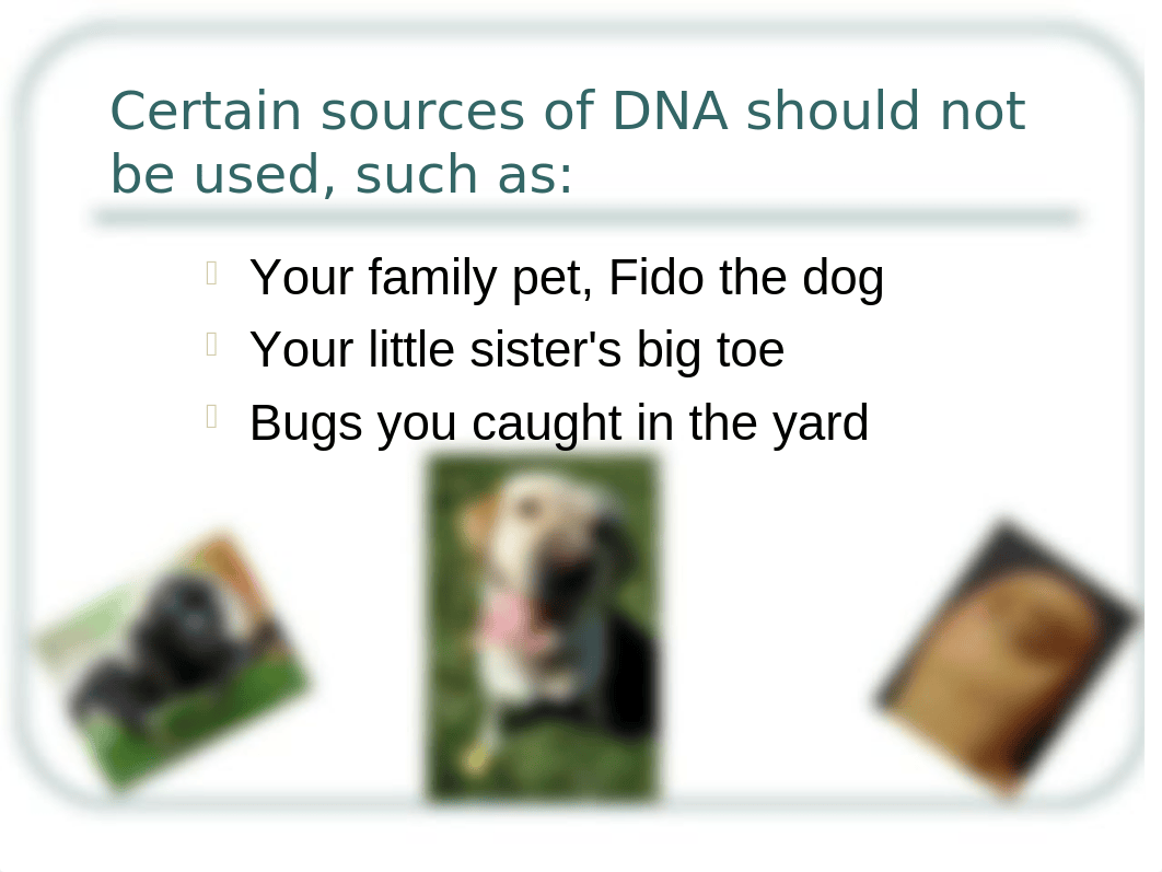 Home_Experiment_DNA_Extraction_Lab_4.ppt_di203x9j559_page2