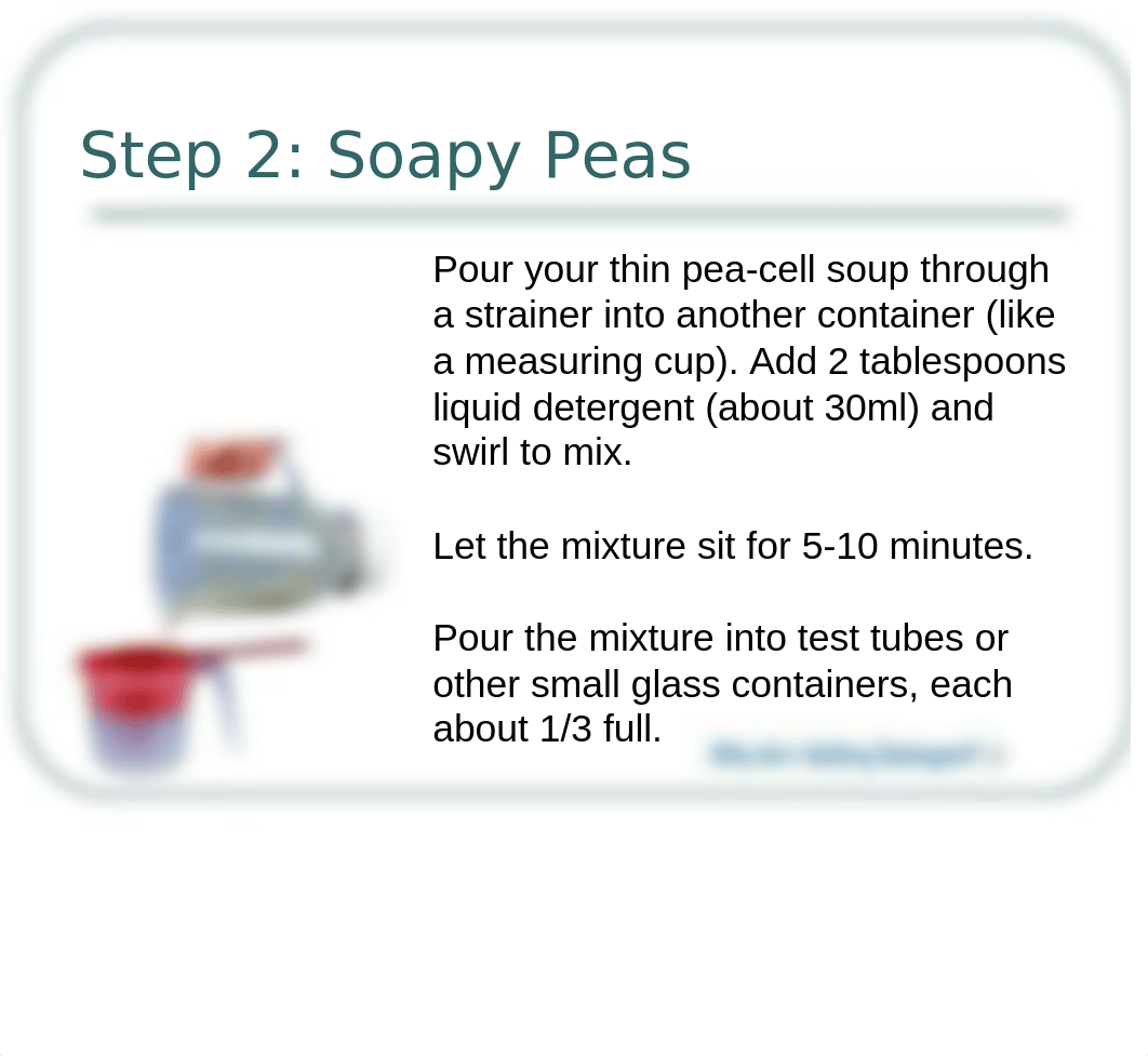 Home_Experiment_DNA_Extraction_Lab_4.ppt_di203x9j559_page5