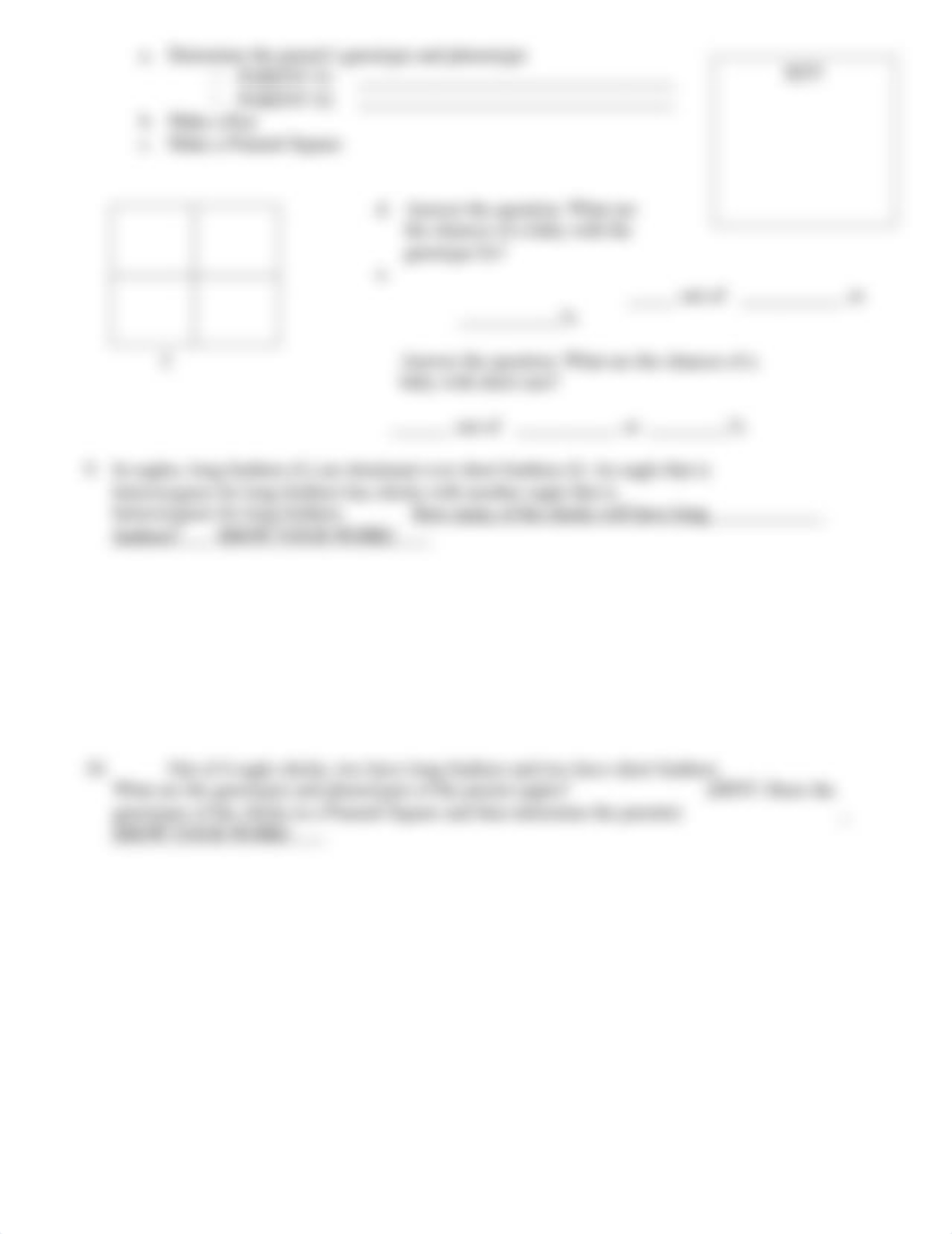 Punnett_Square_Worksheet.docx_di21jceil3h_page2