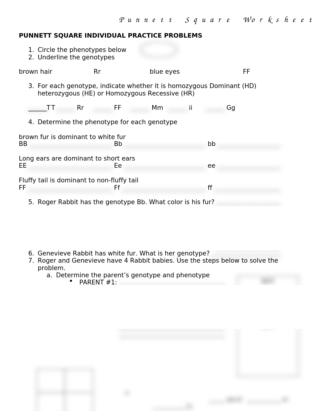 Punnett_Square_Worksheet.docx_di21jceil3h_page1