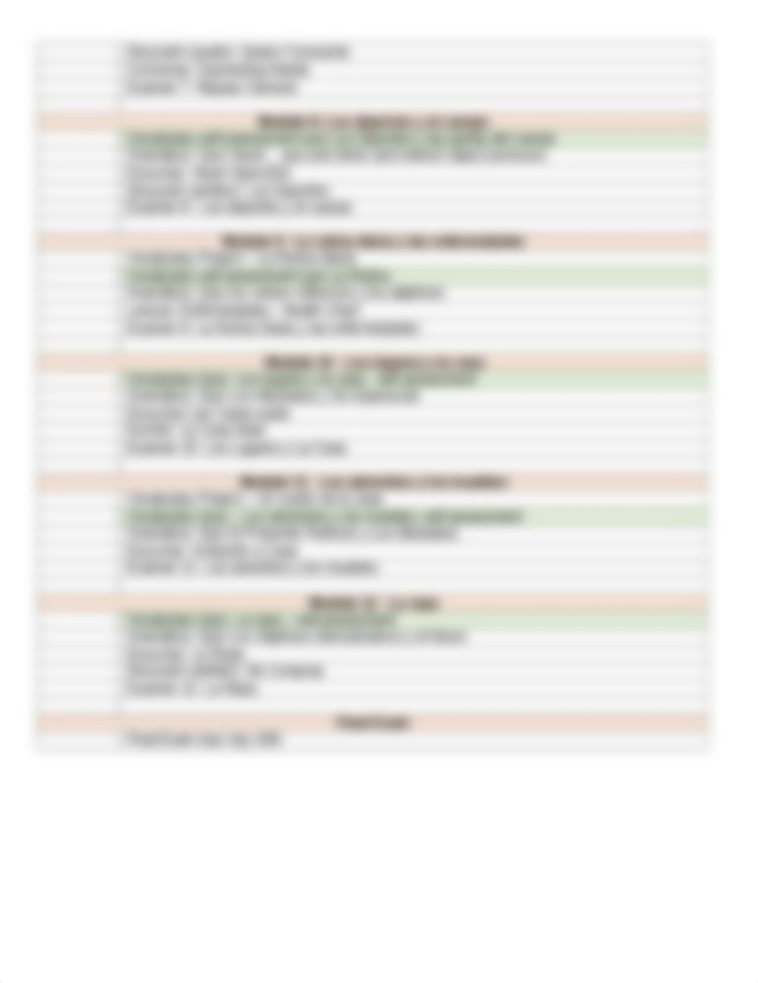 Student Assignment Checklist Summer 21 Span2.docx_di22vkss1hk_page2