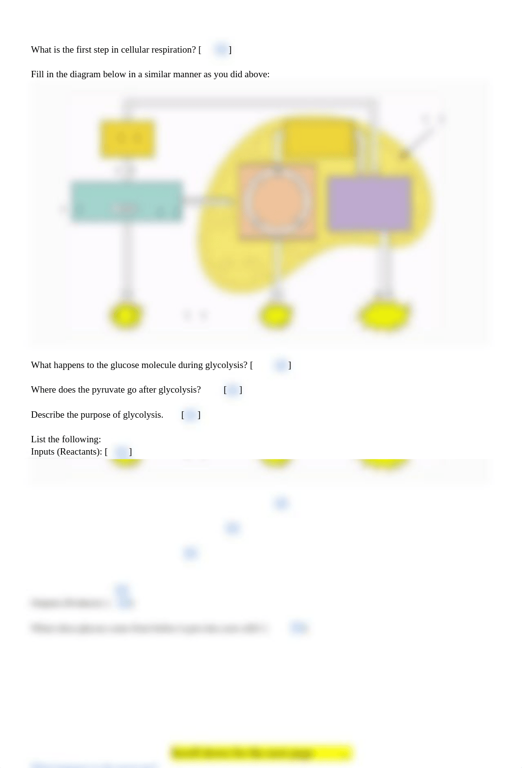 Copy of Cellular Respiration & Cell Energy Cycle GIZMO.docx_di25ckpkppk_page2