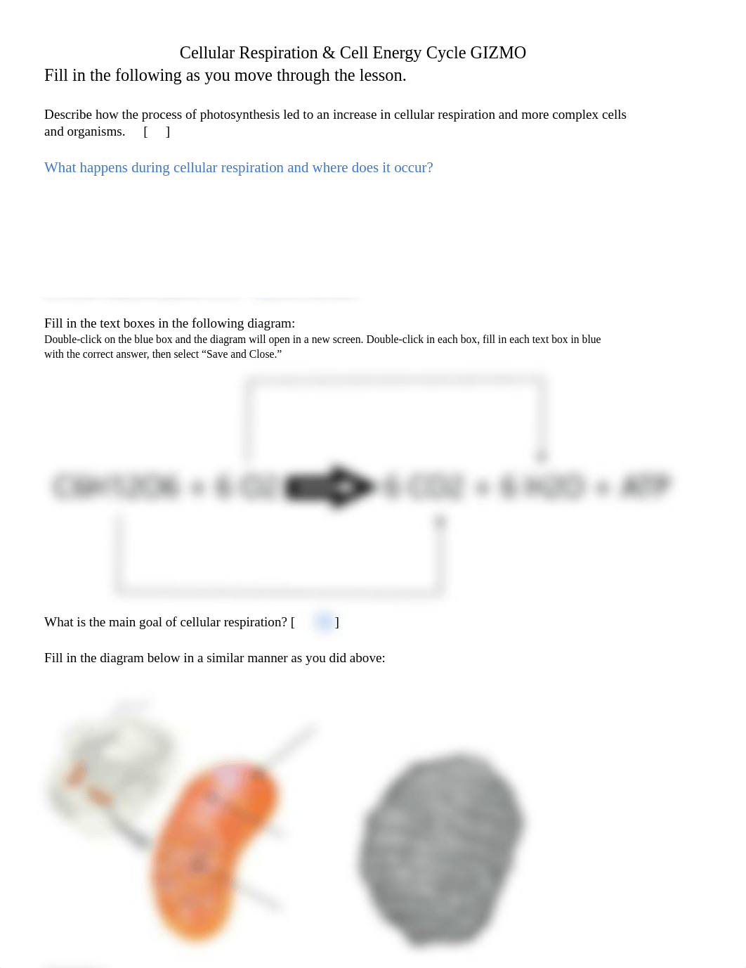 Copy of Cellular Respiration & Cell Energy Cycle GIZMO.docx_di25ckpkppk_page1