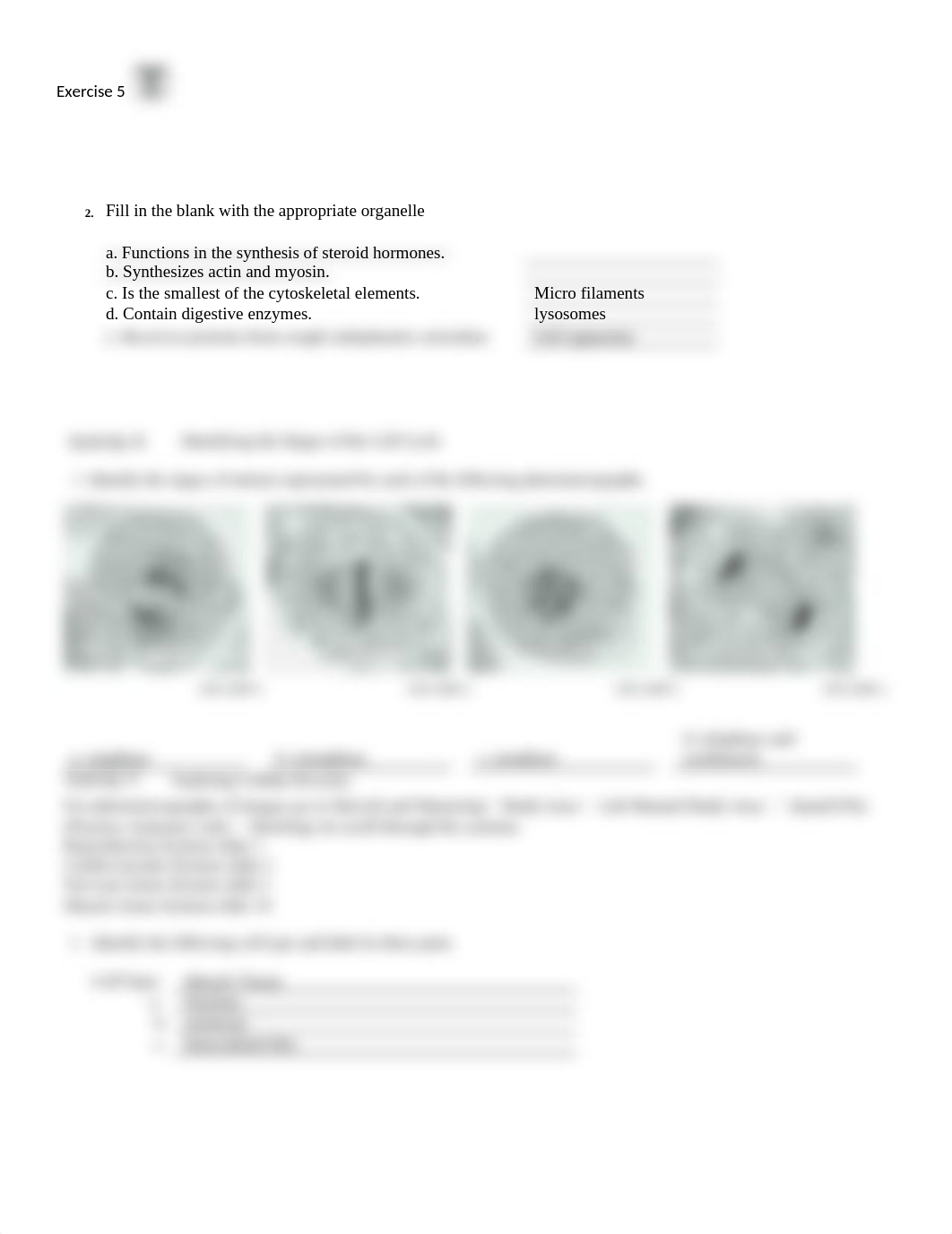 Week 2- Unit 2 laboratory exercise- Yasmin Wright.docx_di2d9mcgyze_page2