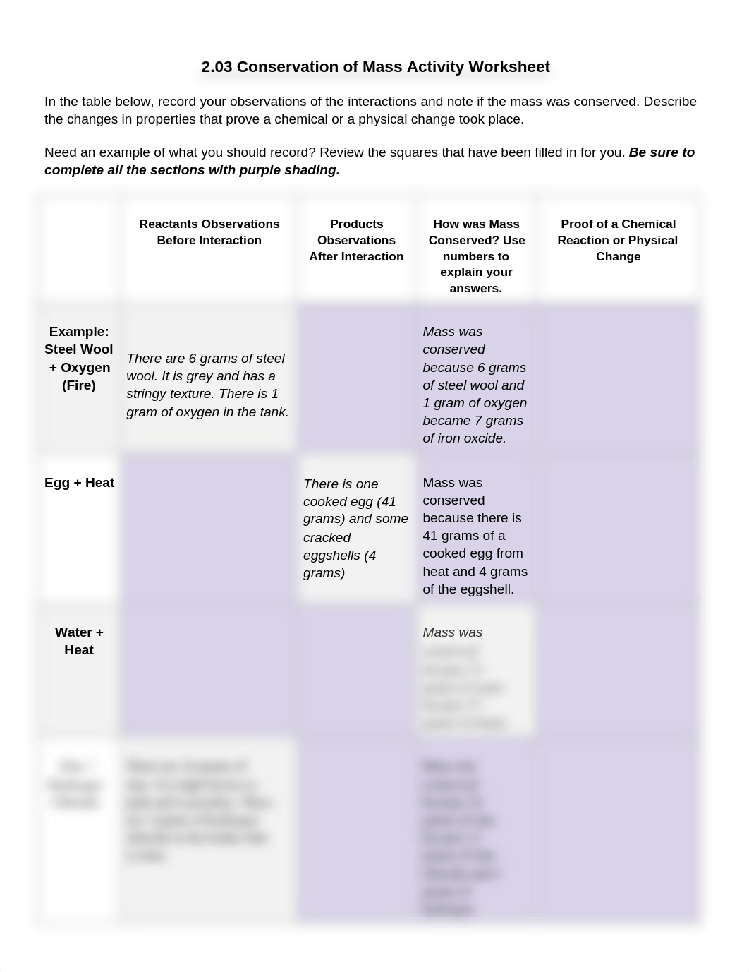 conservation_mass_activity_worksheet.docx_di2do147a6d_page1