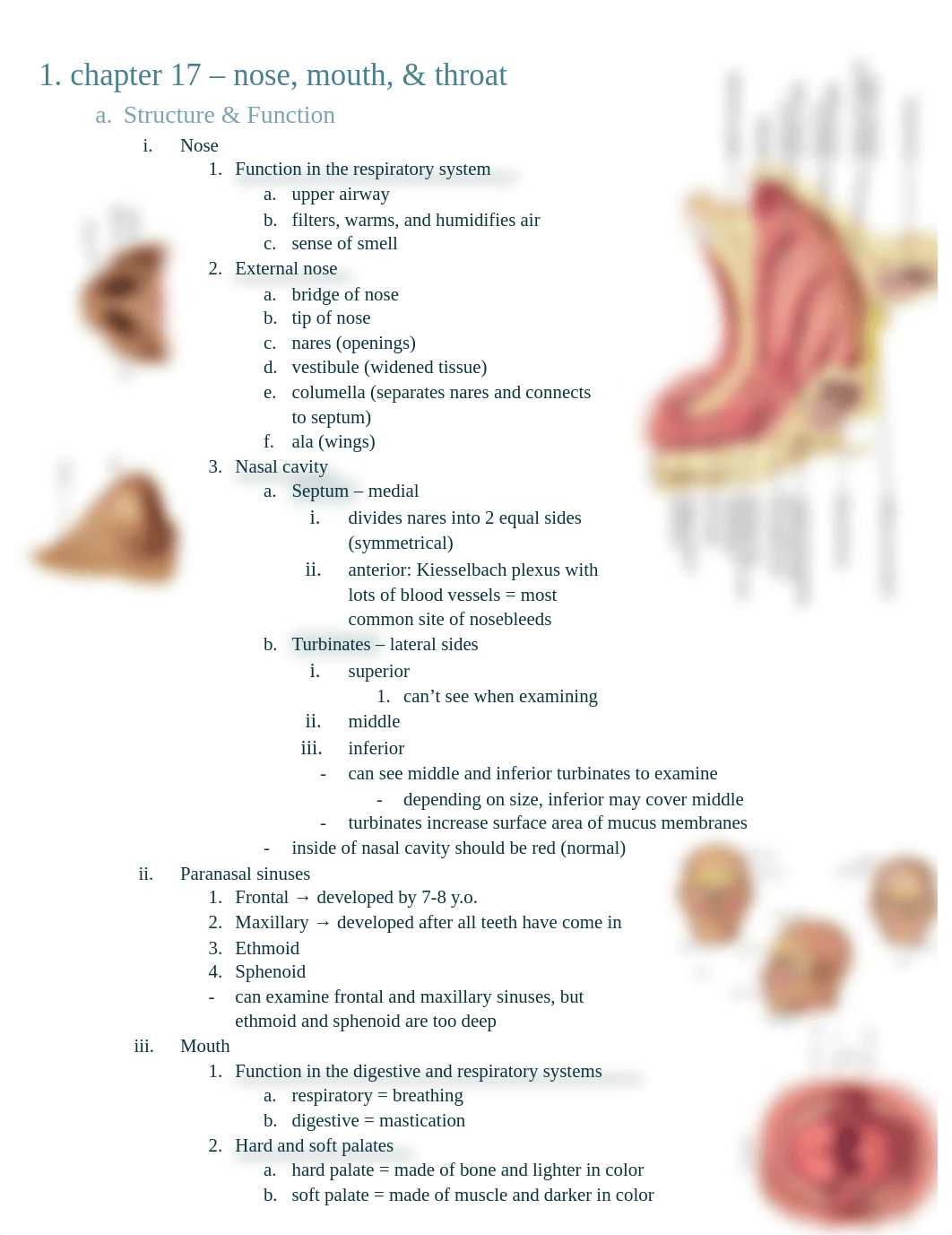 health assessment -- exam 3 (finished).pdf_di2kydipdtm_page1