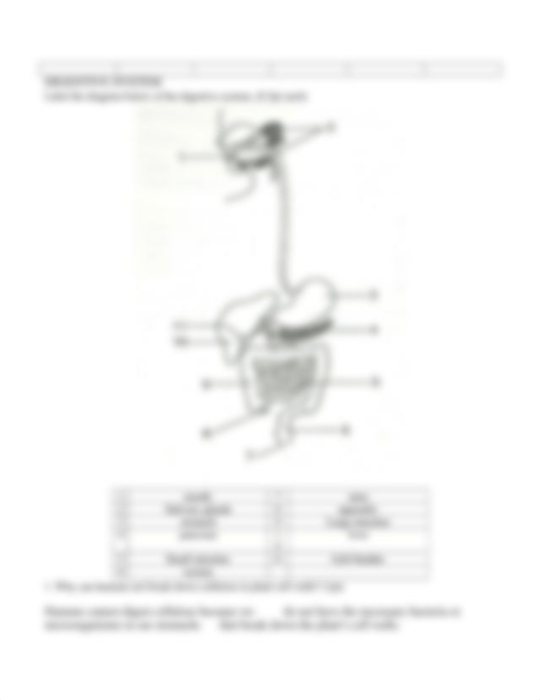 Circulatory, Digestive, Respiratory HW-1-1.docx_di2qftx2qcy_page3