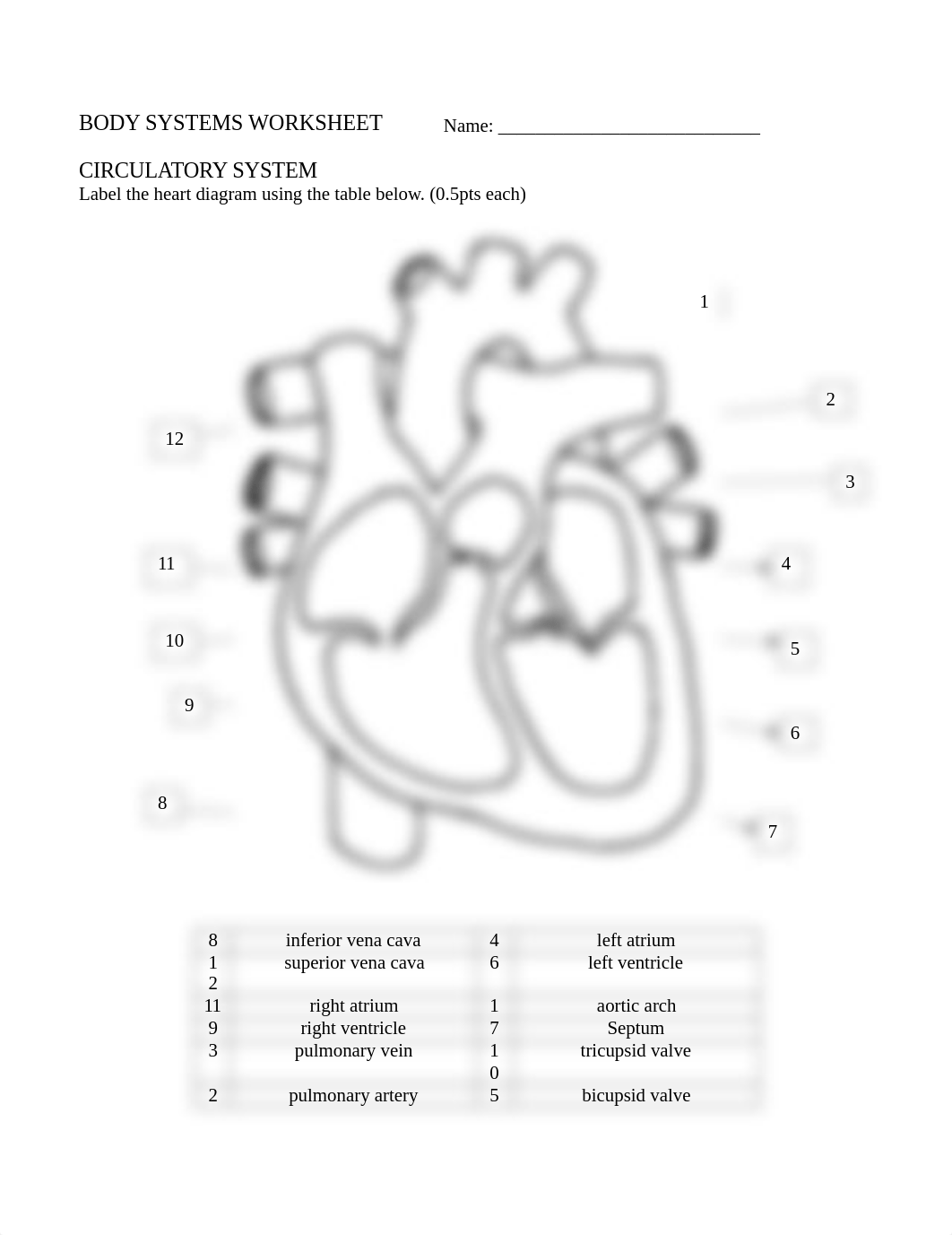 Circulatory, Digestive, Respiratory HW-1-1.docx_di2qftx2qcy_page1