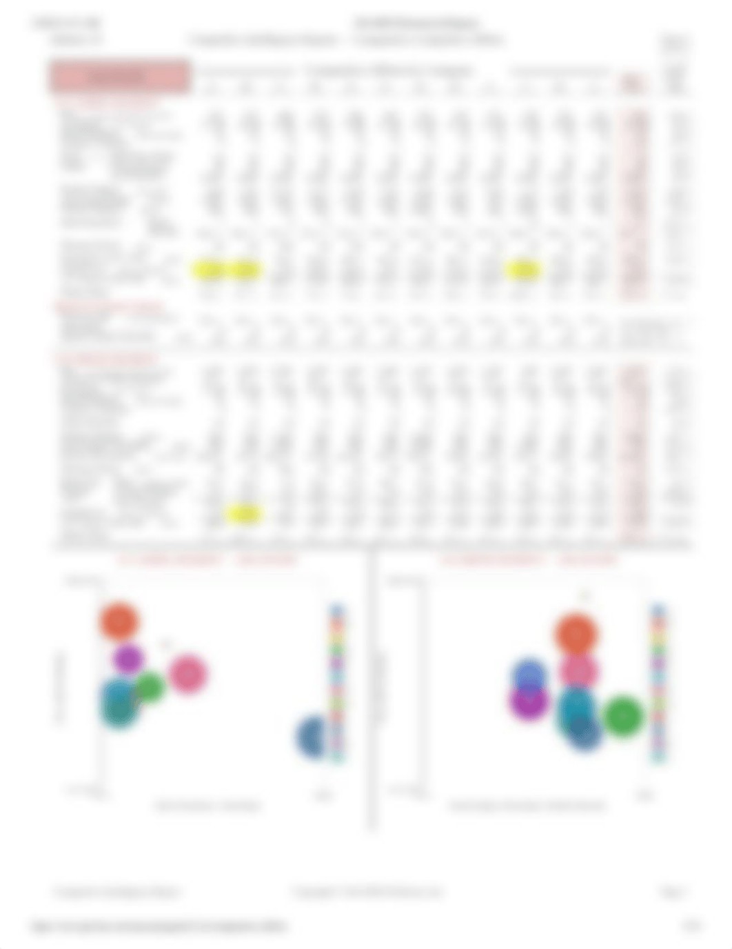 GLO-BUS Decisions & Reports CRI.pdf_di2rdgo2o9j_page3