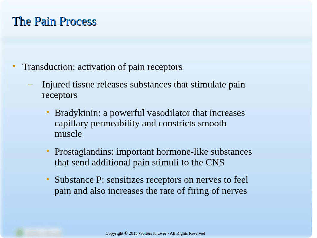 Pain lecture.ppt_di31txwyn8h_page3