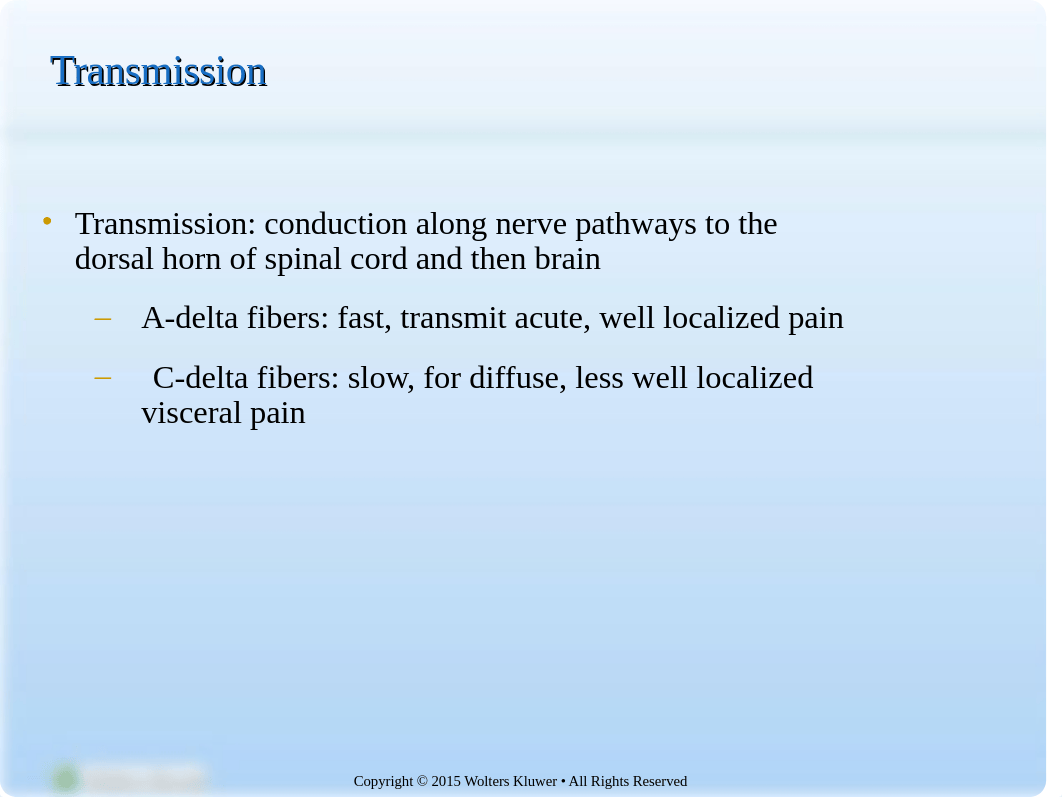 Pain lecture.ppt_di31txwyn8h_page4