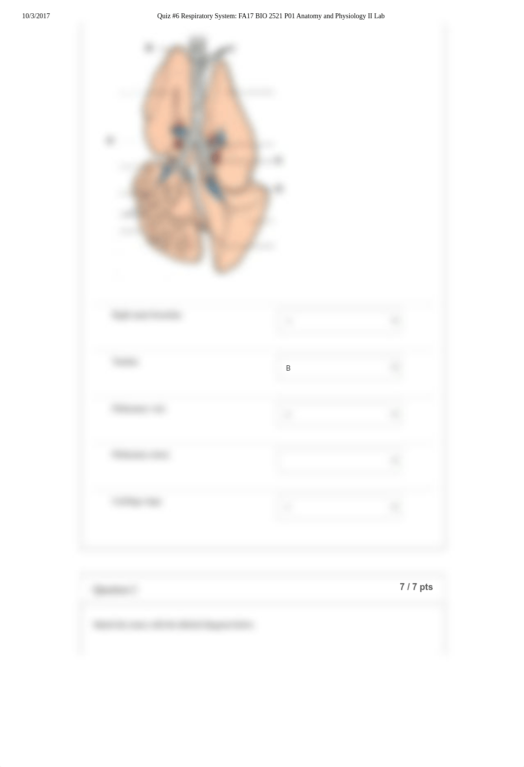 Quiz #6 Respiratory System A&P2.pdf_di344ze0gkb_page2