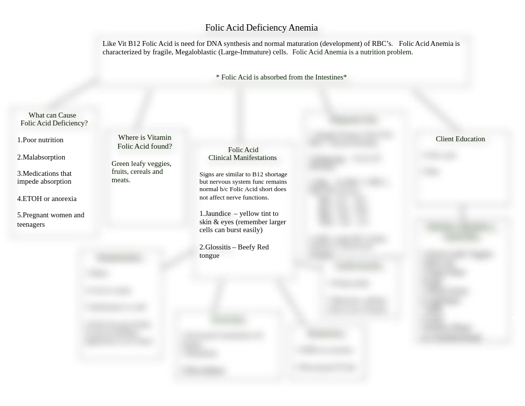 Folic Acid Def. Anemia Concept Map.doc_di39r12fcgz_page1