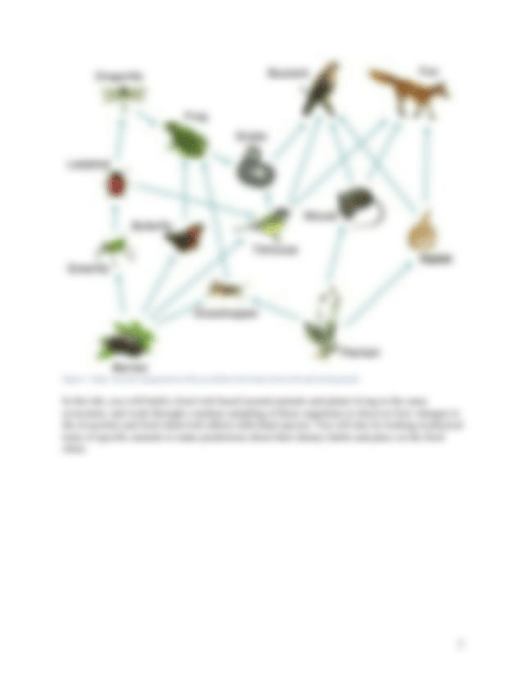 Exercise 9 - Animal Diversity and the Food Chain.docx_di3jary6hn9_page2