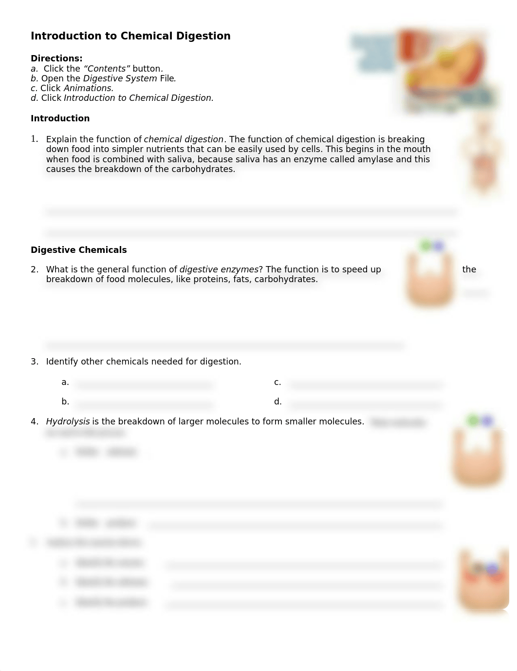 intro to chem digestion chp24 - Copy.doc_di3pgdlcn00_page1