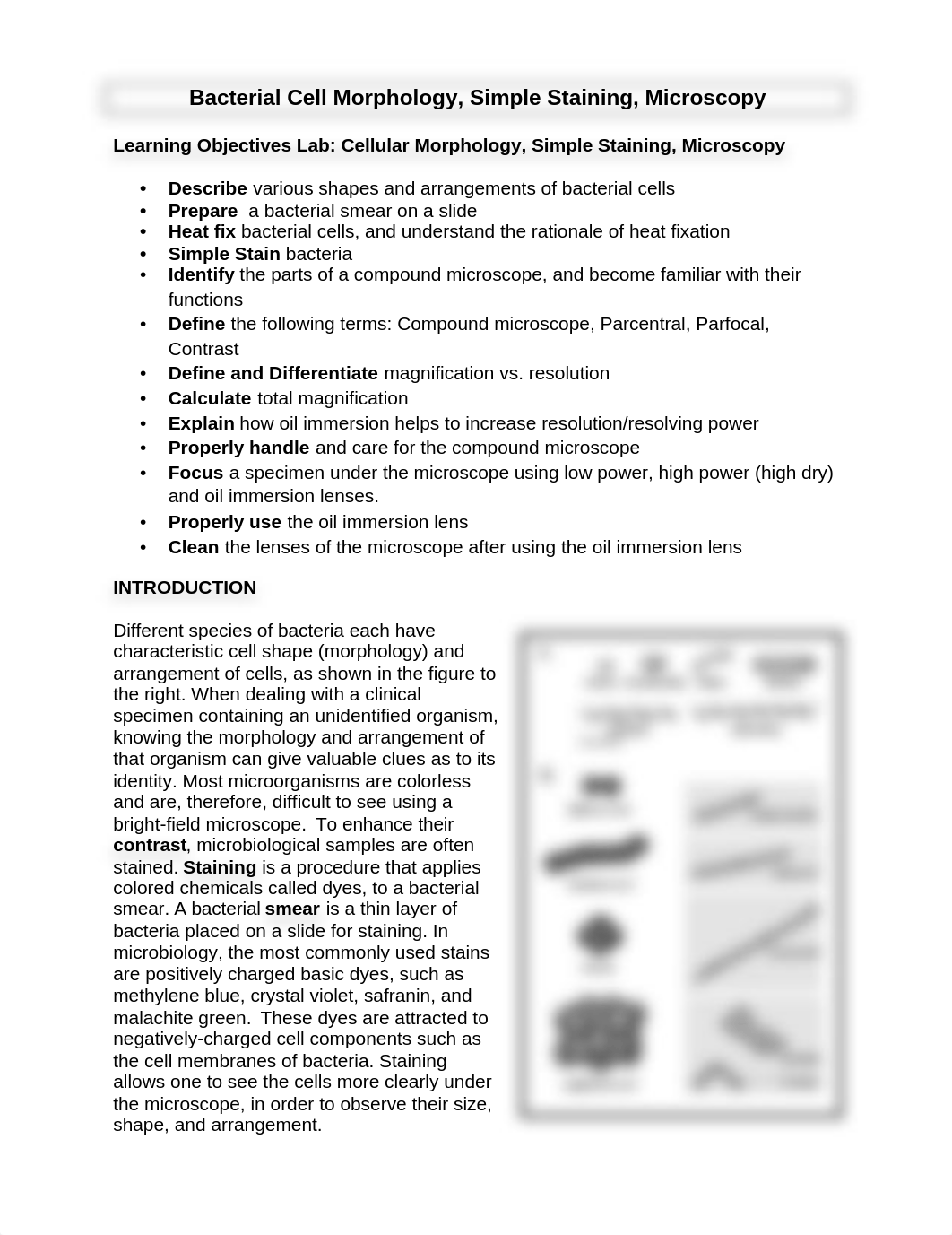 Lab handout_Cell Morphology, Simple Staining, Microscopy.docx_di3xgpvug92_page1