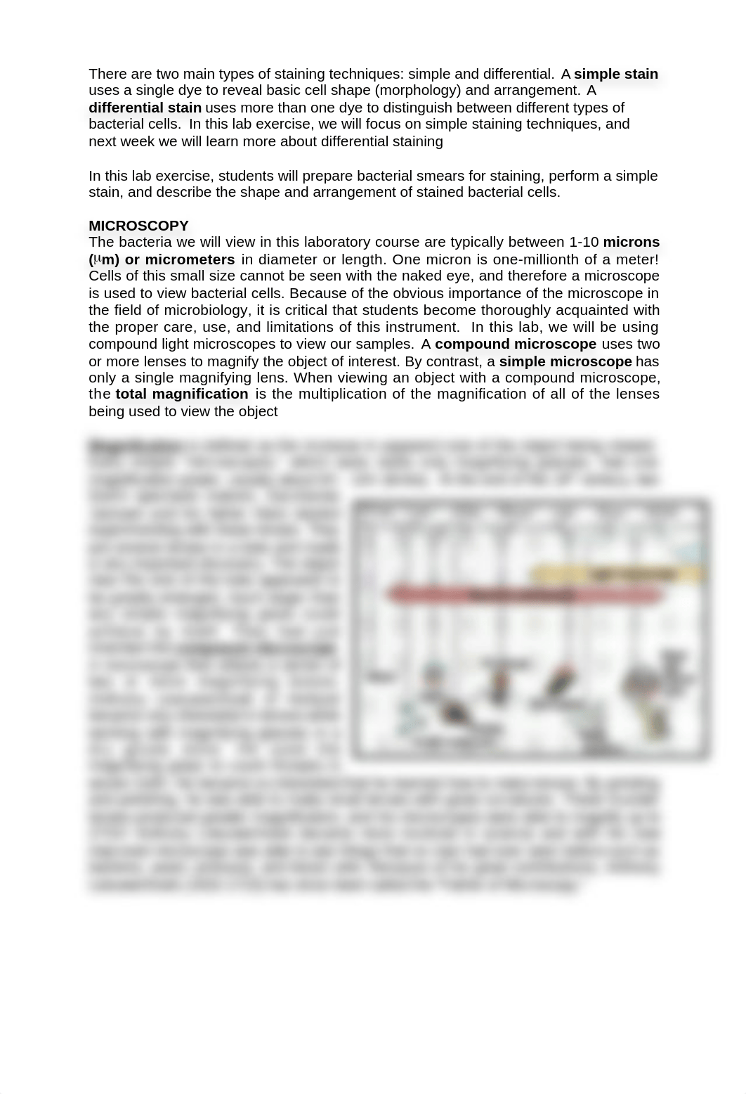 Lab handout_Cell Morphology, Simple Staining, Microscopy.docx_di3xgpvug92_page2