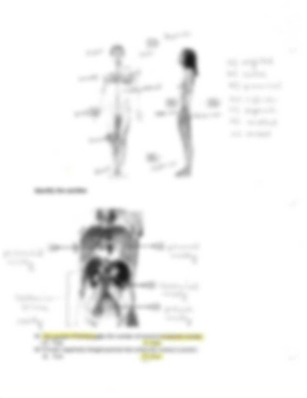 Lab Exam 1 - A.pdf_di421im043m_page4