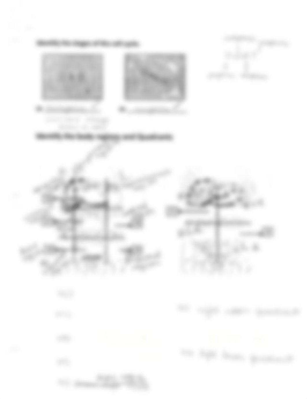 Lab Exam 1 - A.pdf_di421im043m_page3