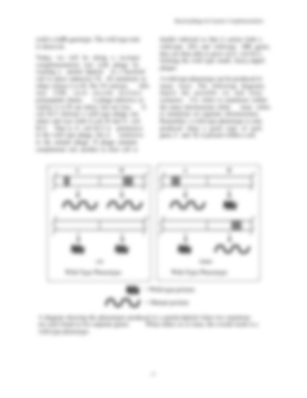 4_Phage_ Complementation_Test fall 2021(2).pdf_di47q9y0j5i_page3