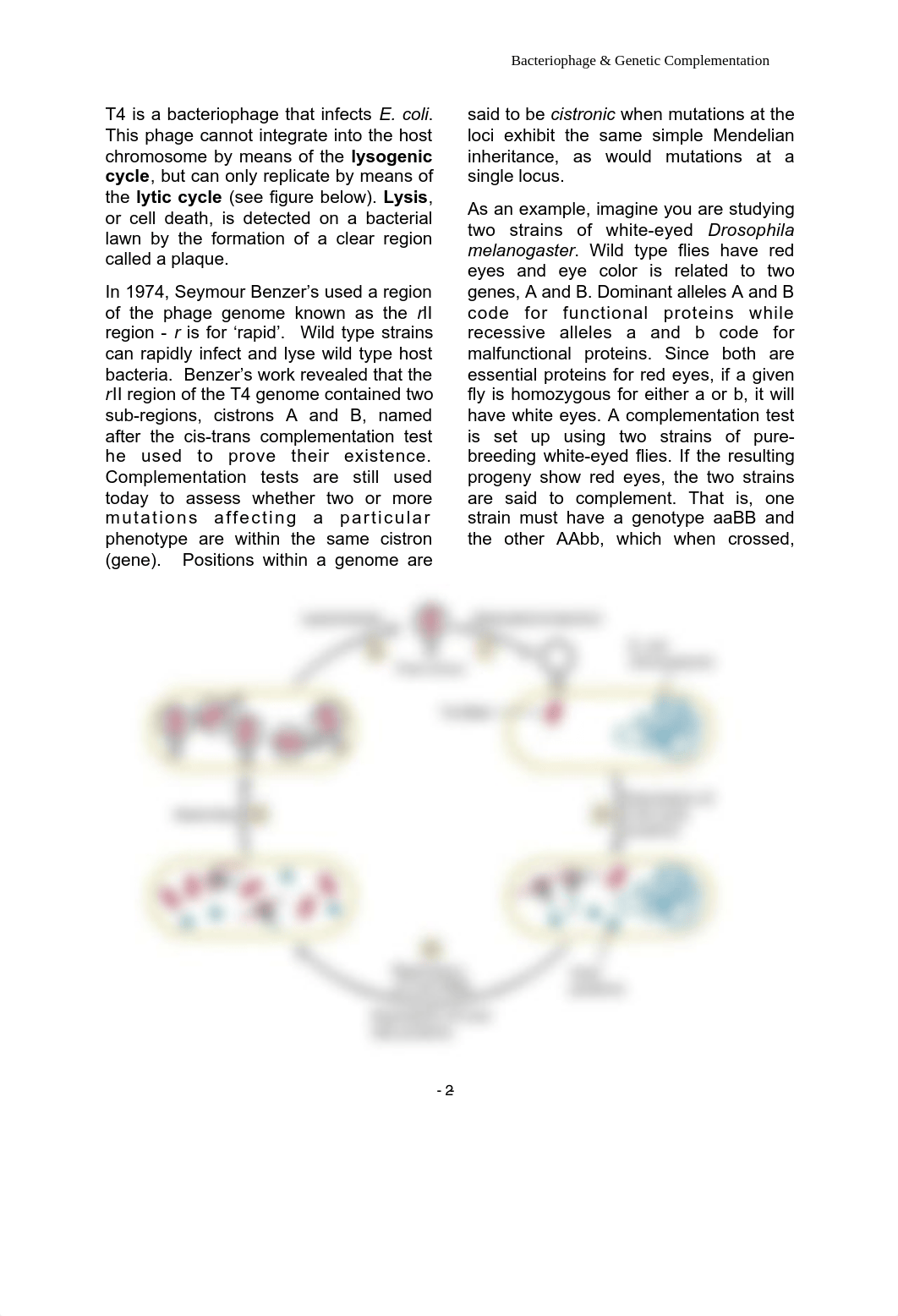 4_Phage_ Complementation_Test fall 2021(2).pdf_di47q9y0j5i_page2