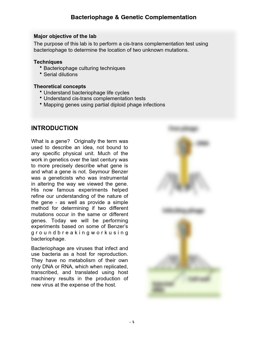 4_Phage_ Complementation_Test fall 2021(2).pdf_di47q9y0j5i_page1