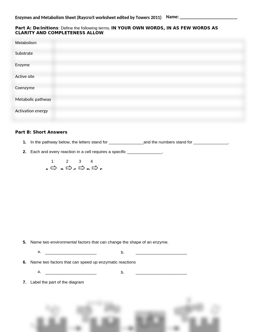 enzymes_and_metabolism_sheet (2).doc_di4a31qc1vs_page1