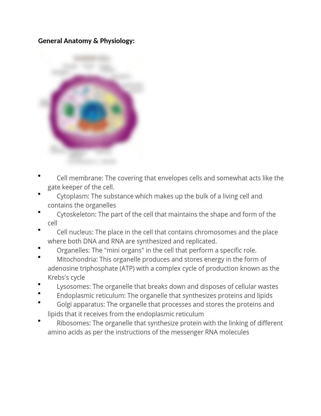 TEAS Anatomy and Physiology Review.docx_di4e0vwlxpy_page1