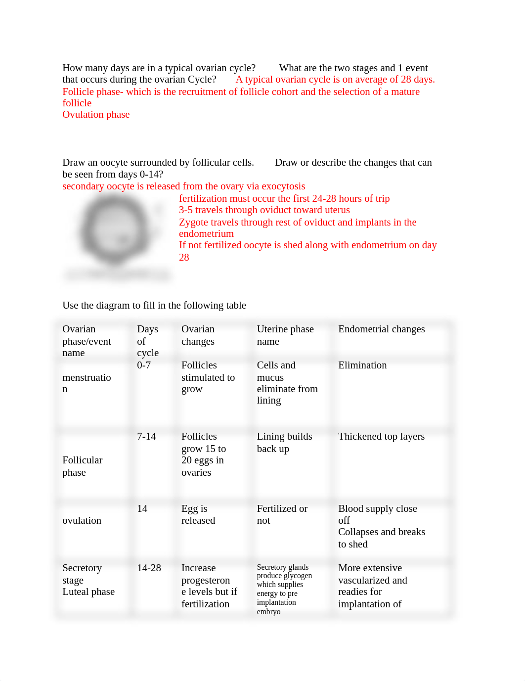 223reproductive hormones.docx_di4obz36u5k_page1