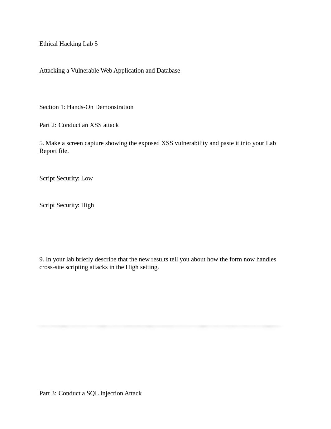 Ethical Hacking Lab 5 .docx_di4uuvaph98_page1