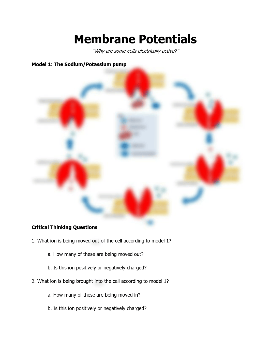 membrane_potentials.pdf_di4wf5tz6j6_page1