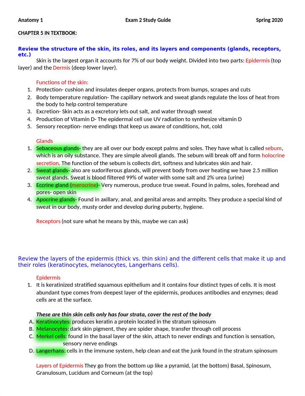 Anatomy 1 Study Guide Exam 2 .doc_di564omveig_page1