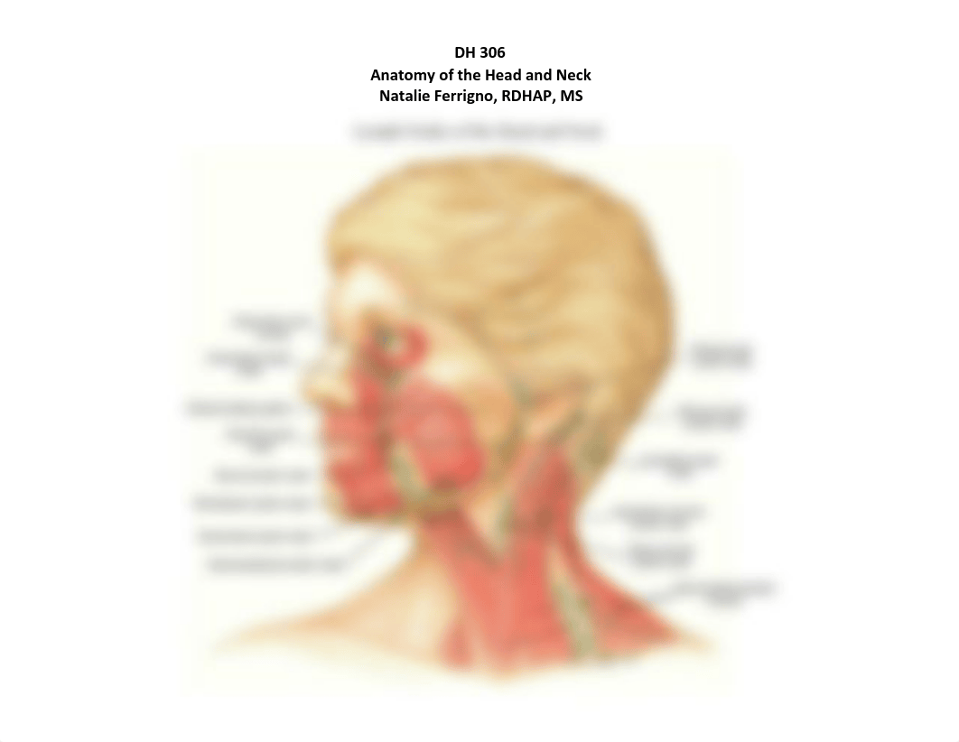 Lymph Nodes of the Head and Neck 1.pdf_di58f7fegi3_page1