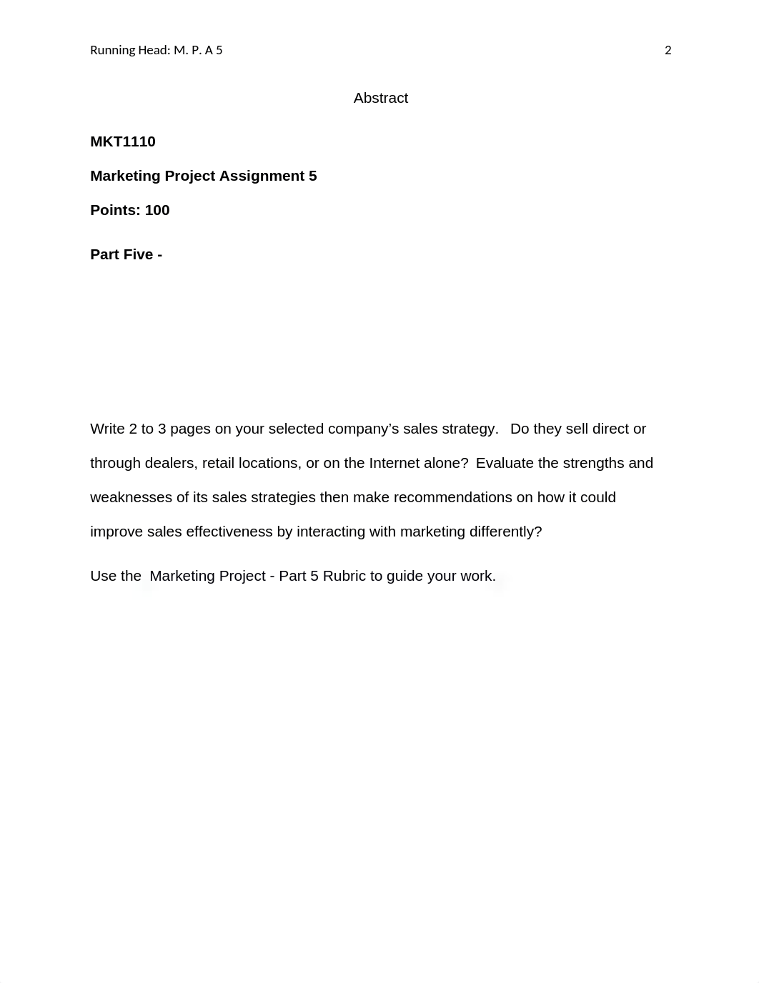 PM Marketing Project Assignment 5 Finished.docx_di5j9zm75wk_page2