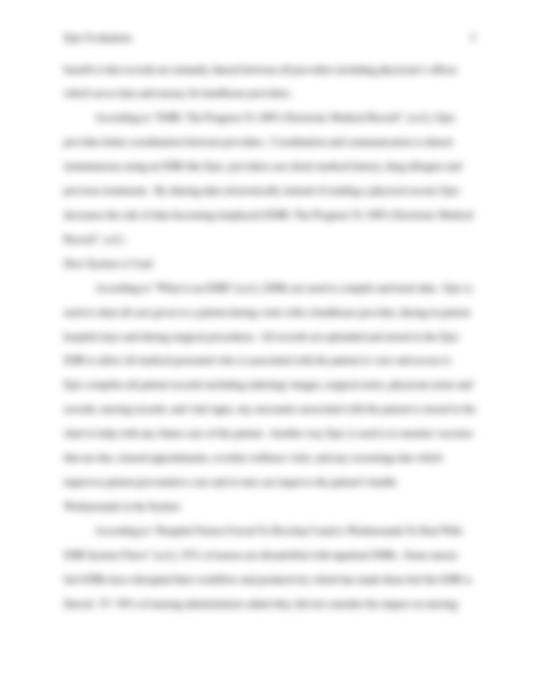 Information_Systems_Evaluation_Paper_Template.docx_di5kcgjlymz_page3