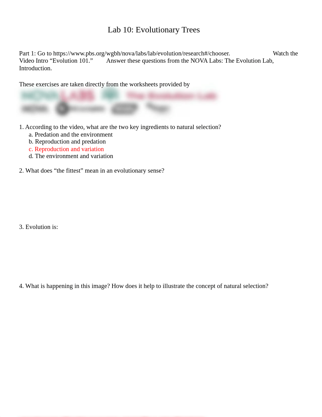 Lab 10 Evolutionary Trees (2) (2).docx_di5pu4yujct_page1