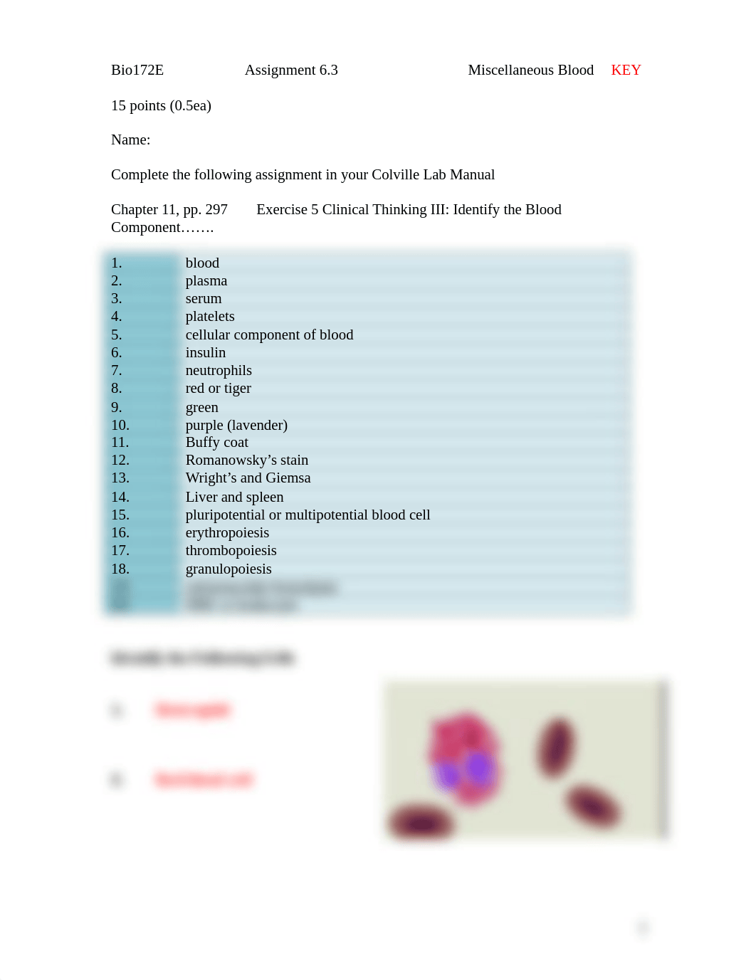 ASSIGNMENT 6.3  MISCELLANEOUS BLOOD KEY.docx_di5wwofkqnn_page1