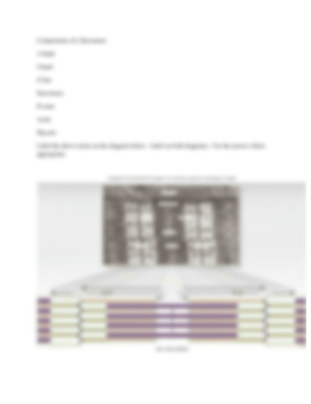 Bio 241 Prelab 19 -  Skeletal Muscle Structure (F11).doc_di607hrraeg_page4