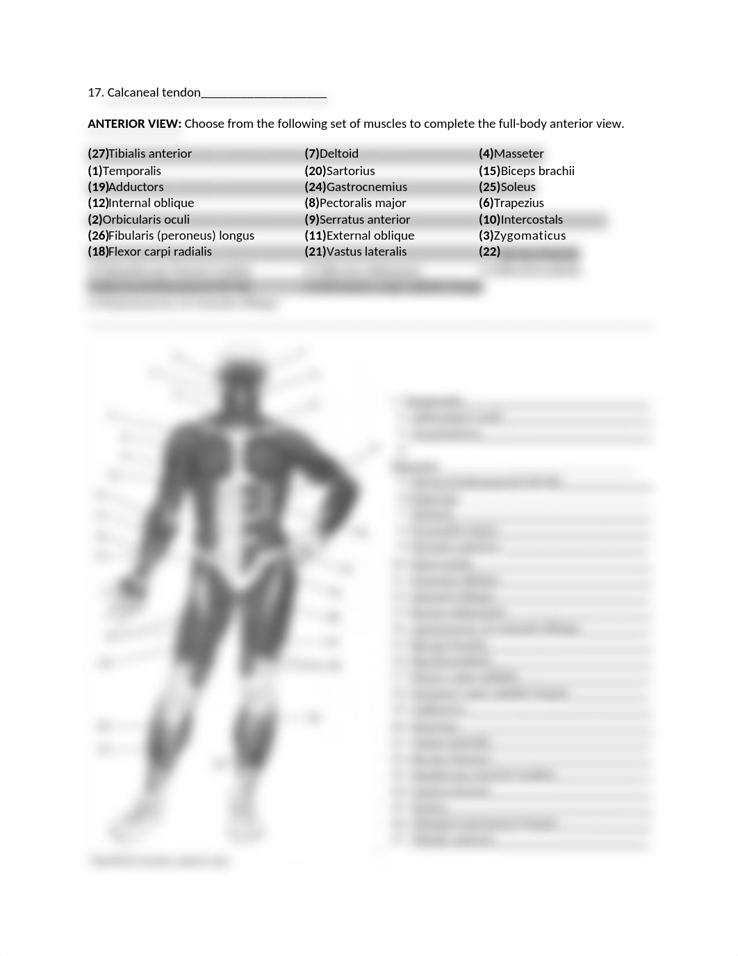 BIO201 Completed Label Posterior_Anterior .docx_di60avazhab_page2