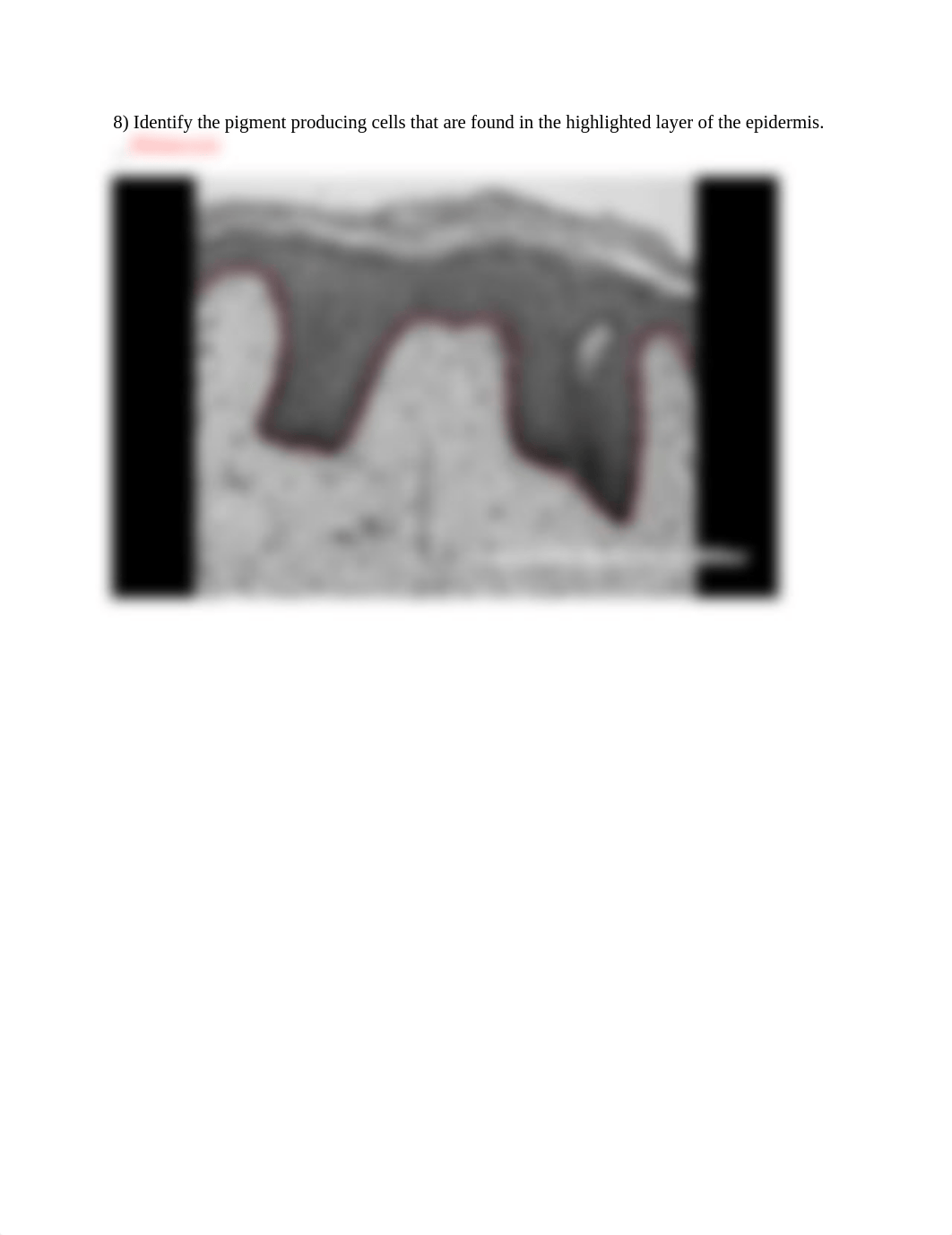 03_the_integument-structure_and_function done beth.docx_di6552genpk_page5