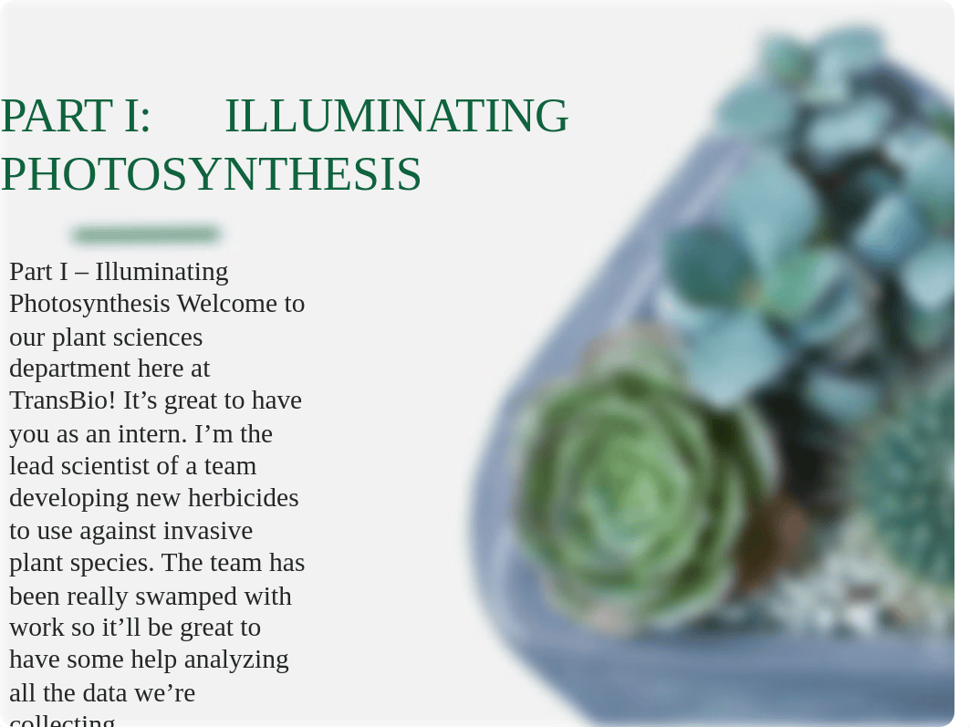 BIO 111 Chapter 10 Photosynthesis Case Study - Killing Chloroplast Student Edition for Remote.pptx_di677sxc01r_page2