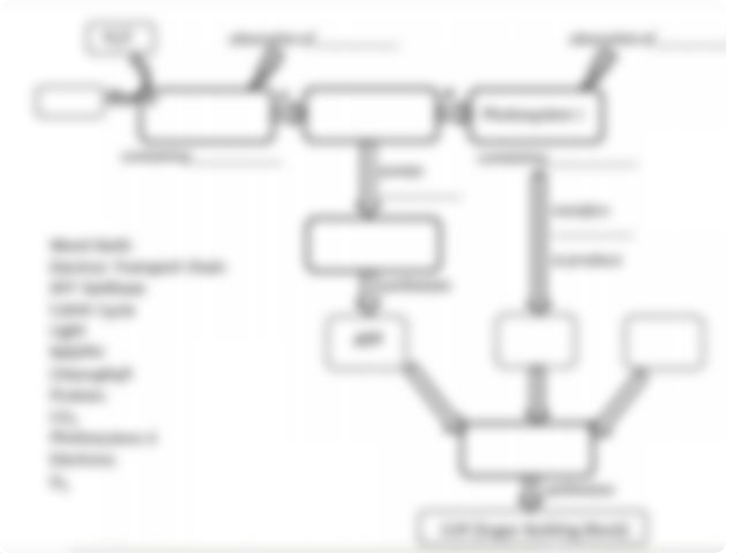 BIO 111 Chapter 10 Photosynthesis Case Study - Killing Chloroplast Student Edition for Remote.pptx_di677sxc01r_page4