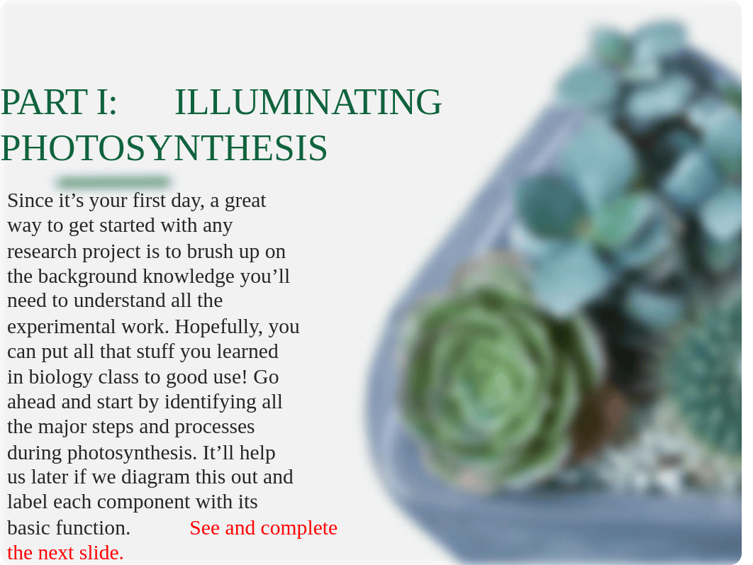 BIO 111 Chapter 10 Photosynthesis Case Study - Killing Chloroplast Student Edition for Remote.pptx_di677sxc01r_page3