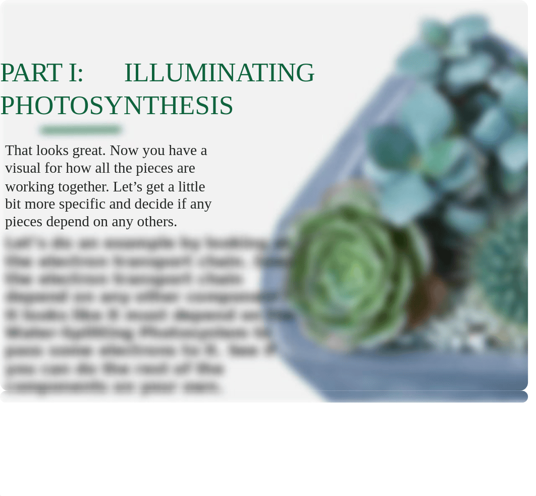 BIO 111 Chapter 10 Photosynthesis Case Study - Killing Chloroplast Student Edition for Remote.pptx_di677sxc01r_page5