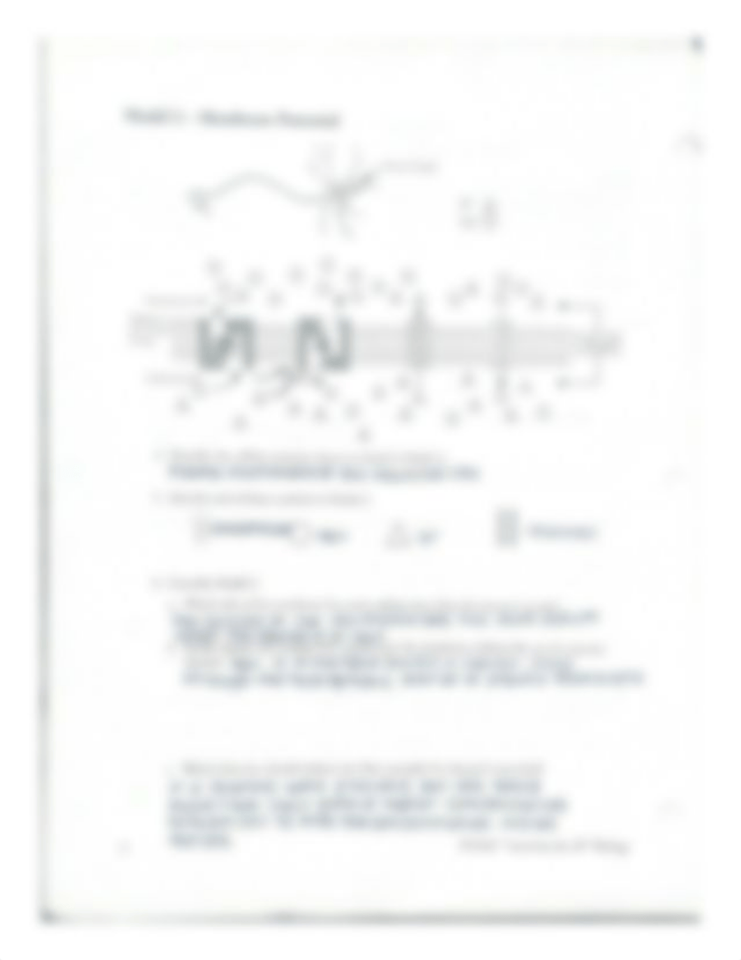 Neuron Structure.pdf_di67y2qh3o0_page2