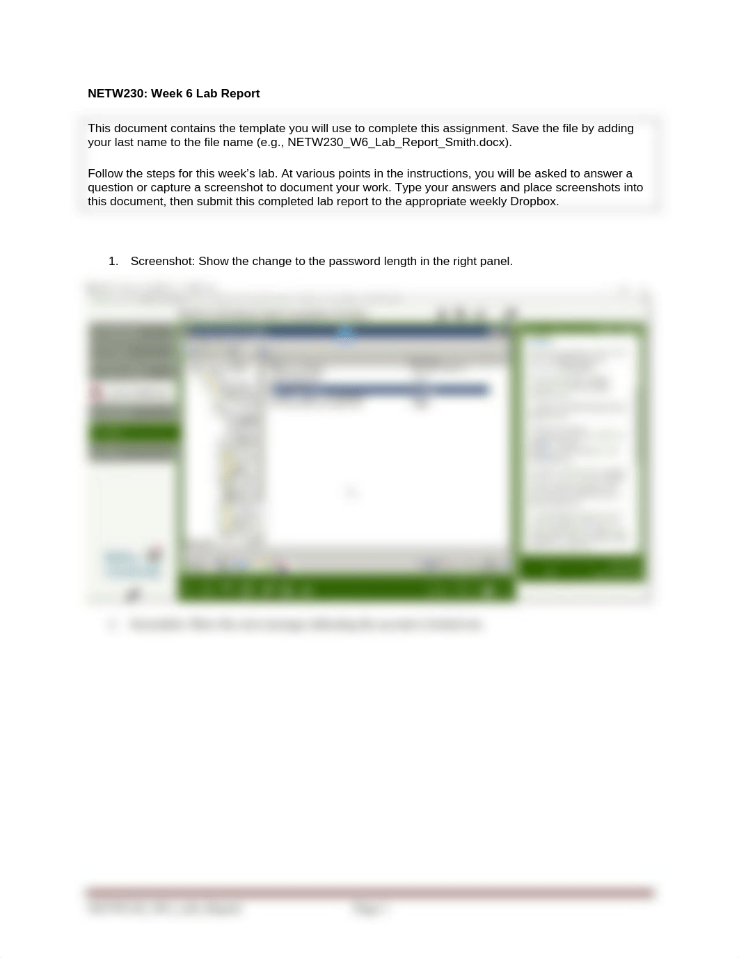 NETW230_W6_Lab_Report.docx_di6bz3olgjl_page1